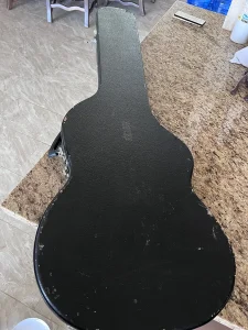 2018 EVH Striped Series Black & White