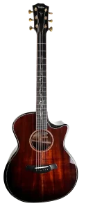 Taylor Builder's Edition KC24CE